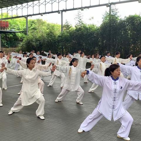 资中和内江太极拳队联谊交流活动