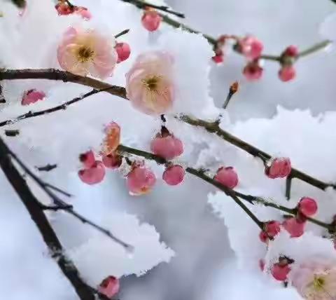 我和春天有个约定