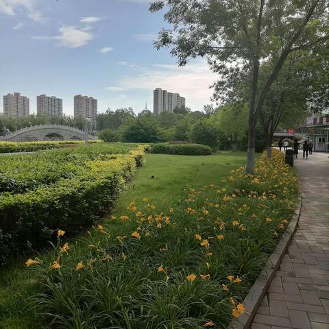 伏天