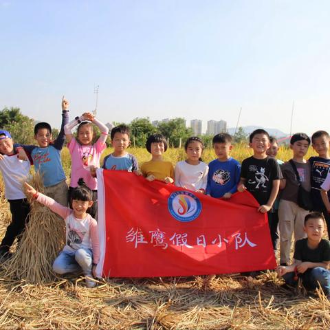 风吹麦浪，🌾2019级