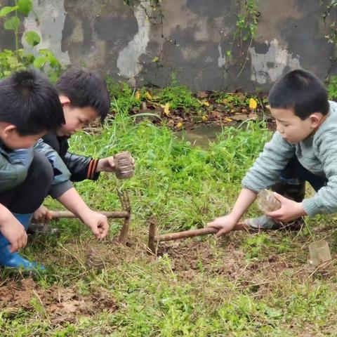 劳动享乐趣  行动正当时——西湖小学劳动课种植活动