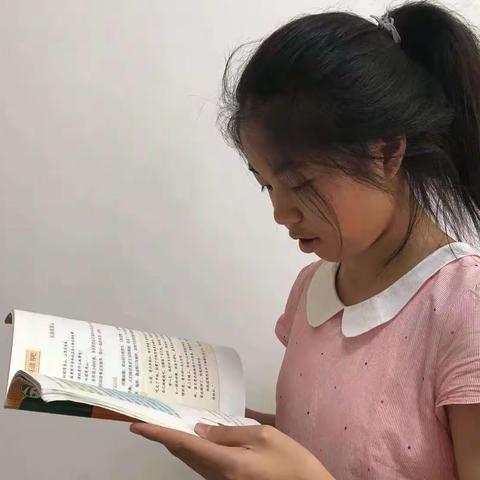高新区第二小学张新一的暑假生活