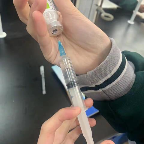 2023年化学实验报告