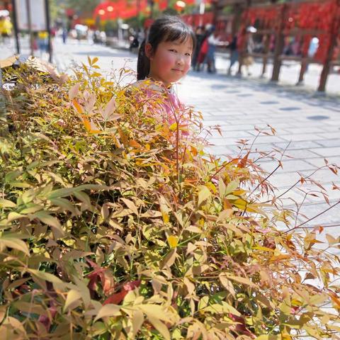 恩施市第三实验小学梦想中队302邓梦涵踏青生活实践活动