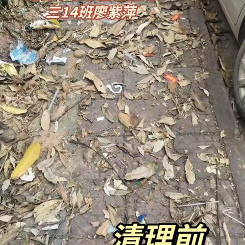 《情系雷锋月 追梦新时代》——旭日中学初三14班廖紫萍