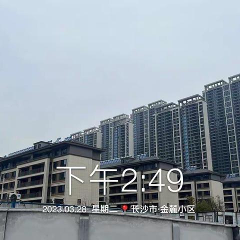 正荣滨江紫阙台服务中（1）