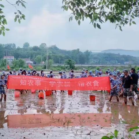 “学农耕·知农事·惜农粮” —— 荆门市红旗小学抛秧农耕实践活动