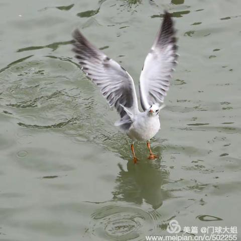 随拍