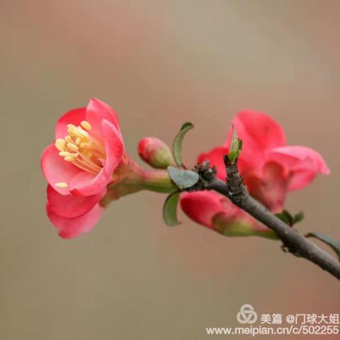 我的美篇