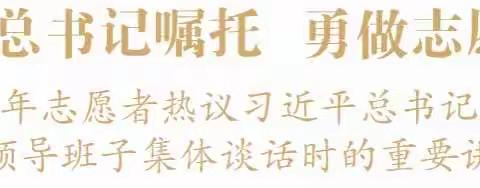 广大青年志愿者热议习近平总书记在同团中央新一届领导班子集体谈话时的重要讲话精神