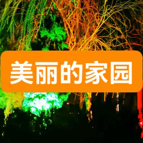 美丽的夜晚，我可爱的家乡