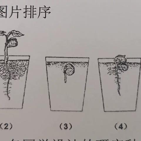 徐州市韩英灵小学体育名师工作室的美篇