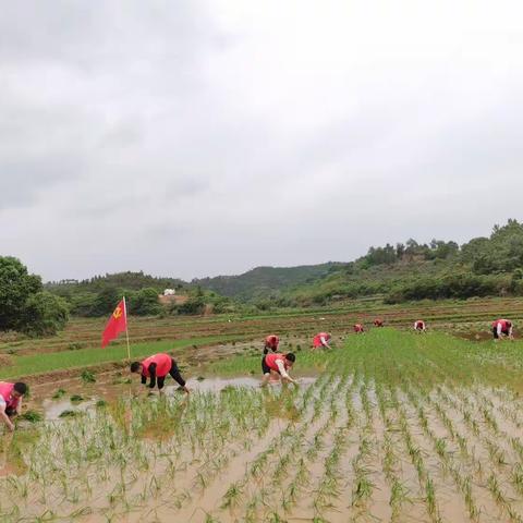 浓情四月天，不负好时光——对坊乡坑塘村四月实践活动。