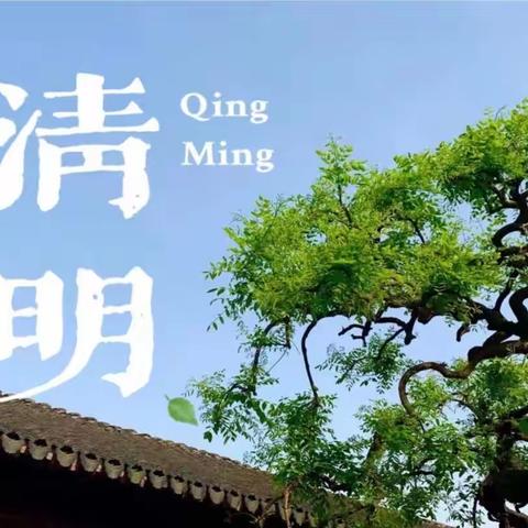 清明时节话清明——翟王镇中心幼儿园清明节主题活动