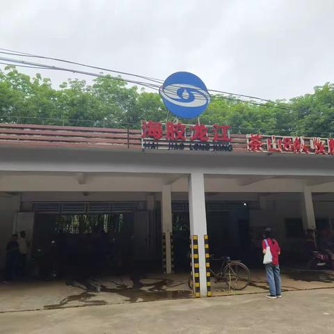 2023年海胶集团龙江分公司新员工入职培训心得感悟