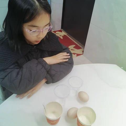三（2）班科学小实验《漂浮的鸡蛋🥚》