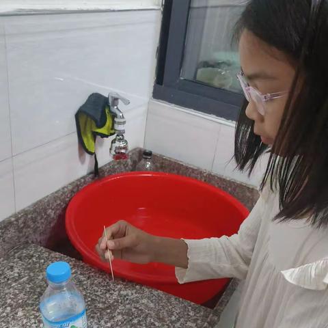 三（2）班科学小实验《瓶子喷泉》