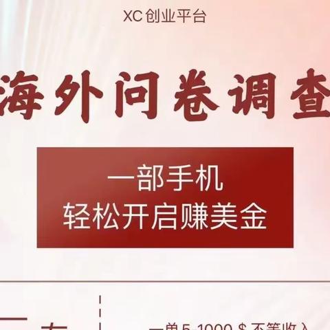 在家如何做调查问卷？日入300-500？全程保姆式陪跑扶持！