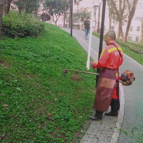 大浪公园Ａ标2023年4月12日工作总结