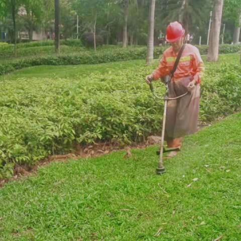 大浪公园Ａ标2023年4月25日工作总结