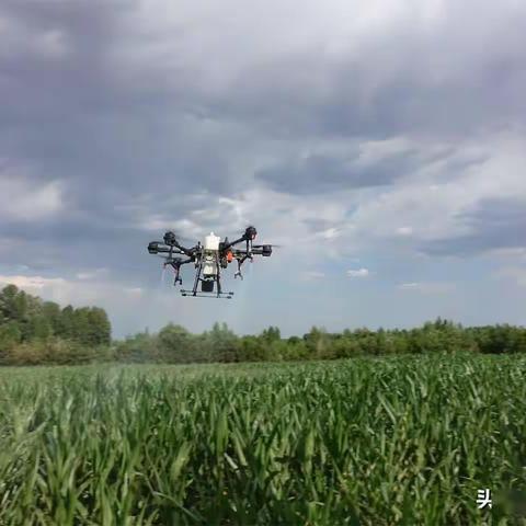 开展‘一喷三防’，保障农作物安全生产