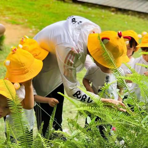 燕南幼儿园废旧材料收集倡议书