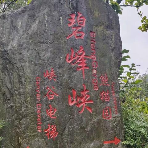 碧峰峡：无限风光在险峰