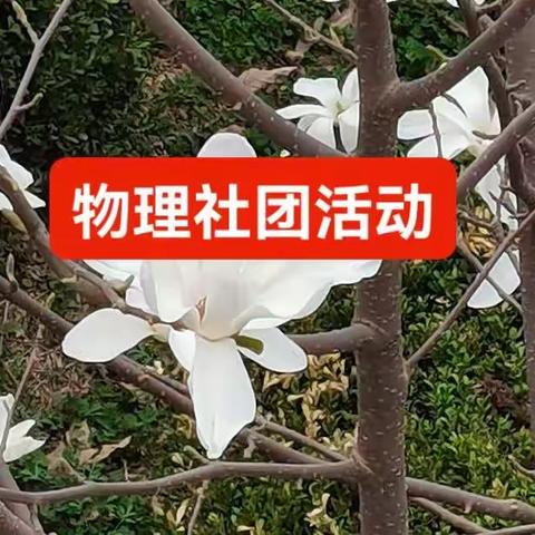 一中仲春百花香，物理社团千面芳——记述2023届物理组社团活动