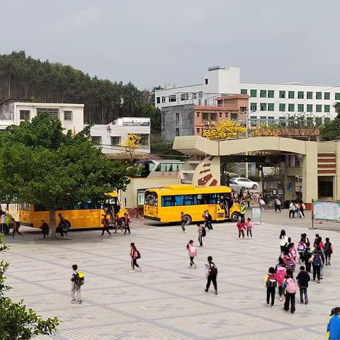 笃实务行,行之实践——2023年春季实习（清远市佛冈县迳头镇中心小学第一个月实习总结）