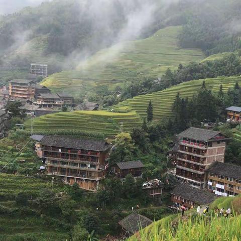 庚子中秋桂林游(三)