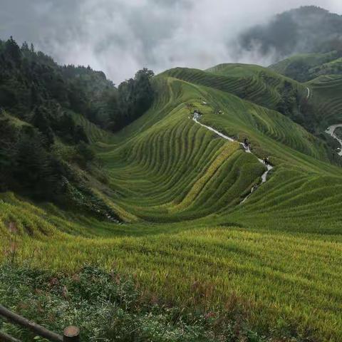 庚子中秋桂林游(二)