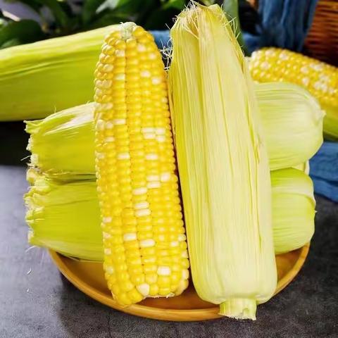 U·好生鲜天天底价