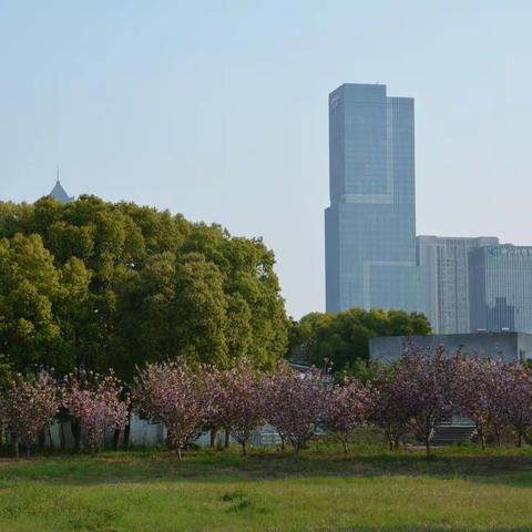 苏州科技大学-2023春景