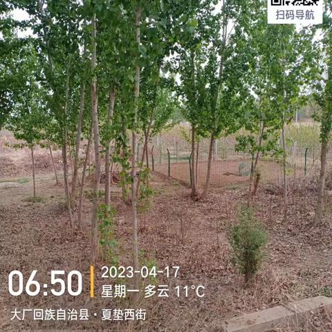 廊坊市大厂回族自治县夏垫镇4月17日冬防重点工作落实情况