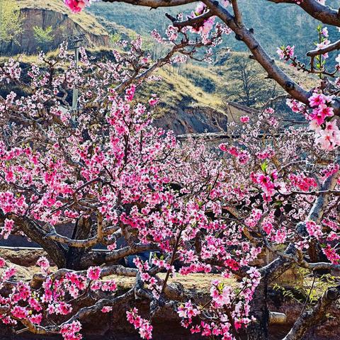 jjames chuang的美篇