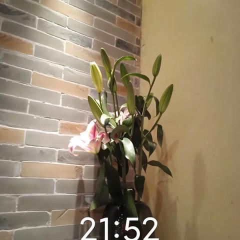 笋岗店4月18日收市检查