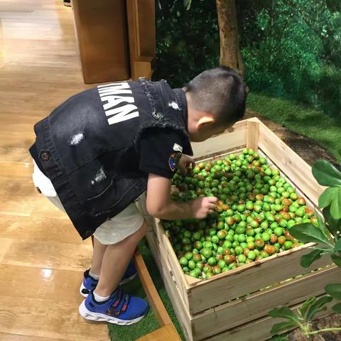 一个小心愿^_^