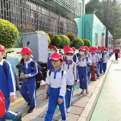 本草拾趣，共探国粹魅力——翠竹外国语实验学校一年级三班开展春季社会实践活动