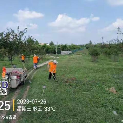 朗公庙镇人居环境整治提升