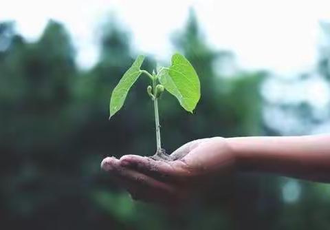 无极中学开展垃圾分类主题系列活动