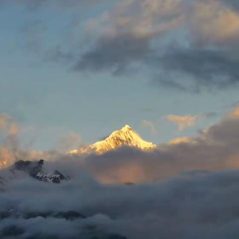 🌻同心，同愿，同行 🌻