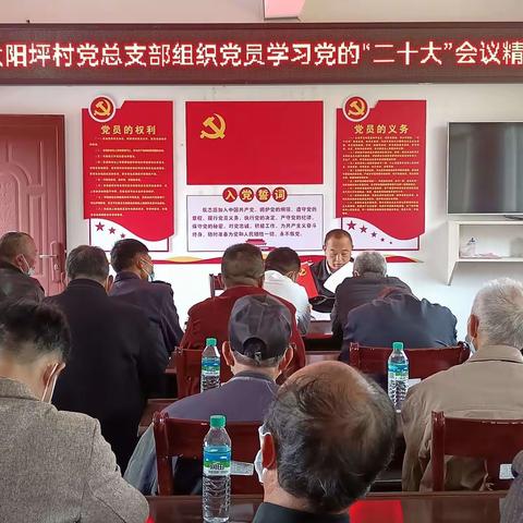 茅店镇太阳坪村深刻领会党的二十大的主题——学习宣传贯彻党的二十大精神