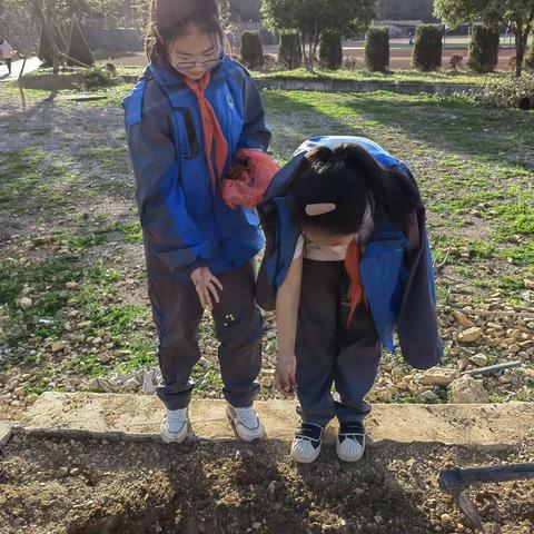 一起“劳动”清凉峰初中