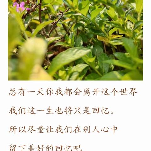 བདེན་པའི་ཨུ་ཚུགས的美篇