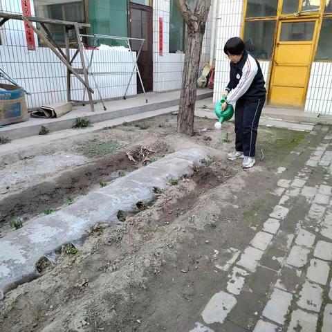 〈定襄二中学子这样过五一〉——定襄县第二中学校 初一276班郗艺涵2023年五一假期实践活动