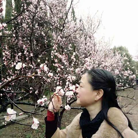 烟雨蒙蒙三月天，雨中漫游函谷关...姐妹篇