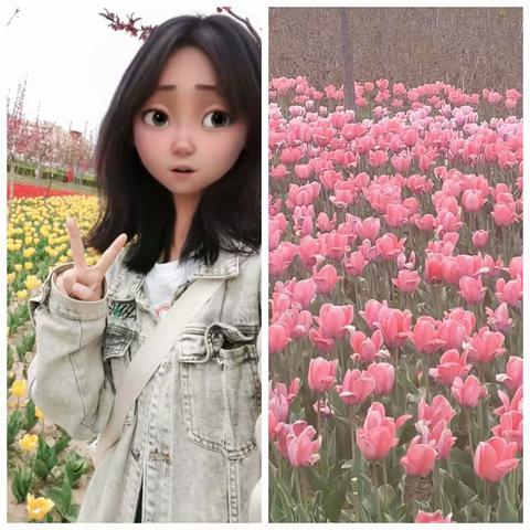 我的五一假期生活