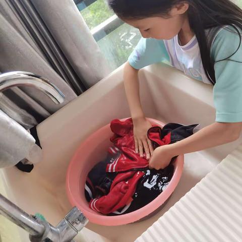 五一劳动实践张博妍篇