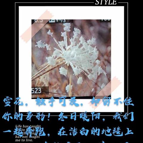 在玩雪中收获快乐——涞源县第四幼儿园中四班