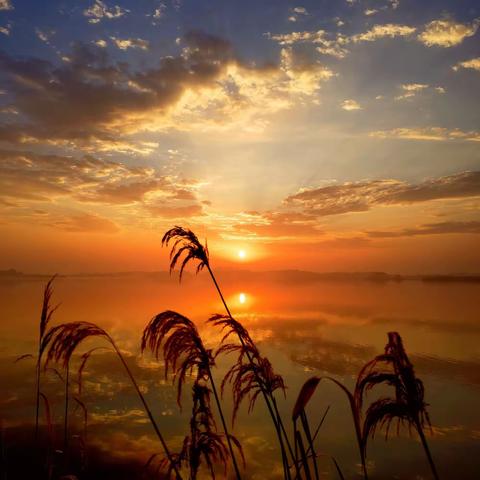 美丽的盛泽湖位于苏州相城区的东北部，面积4.558平方公里，湖畔环境优美，湖水清澈，达到ll类水质，湖中有岛。